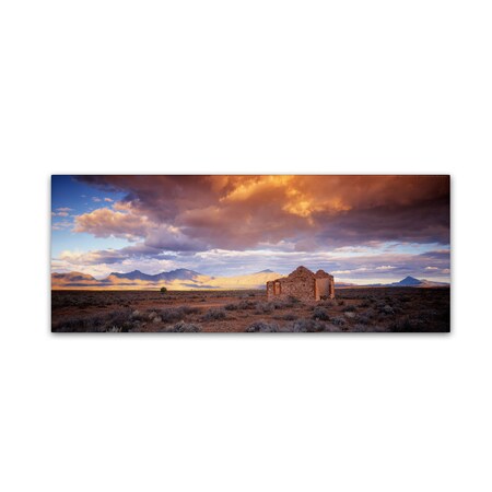 Trademark Fine Art David Evans 'Edeowie-Flinders Ranges' Canvas Art, 10x32 DE0034-C1032GG